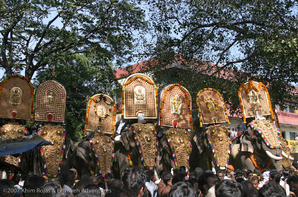 Religious Festival in Vitanappally